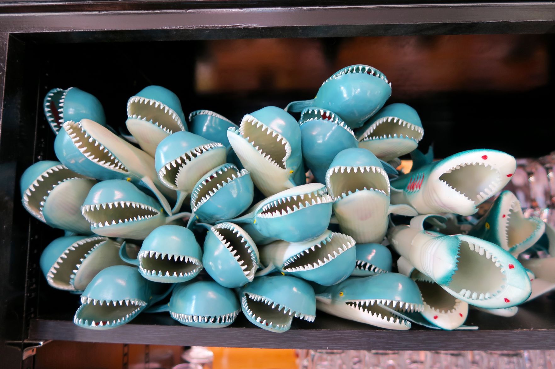 lucy sharks.jpg